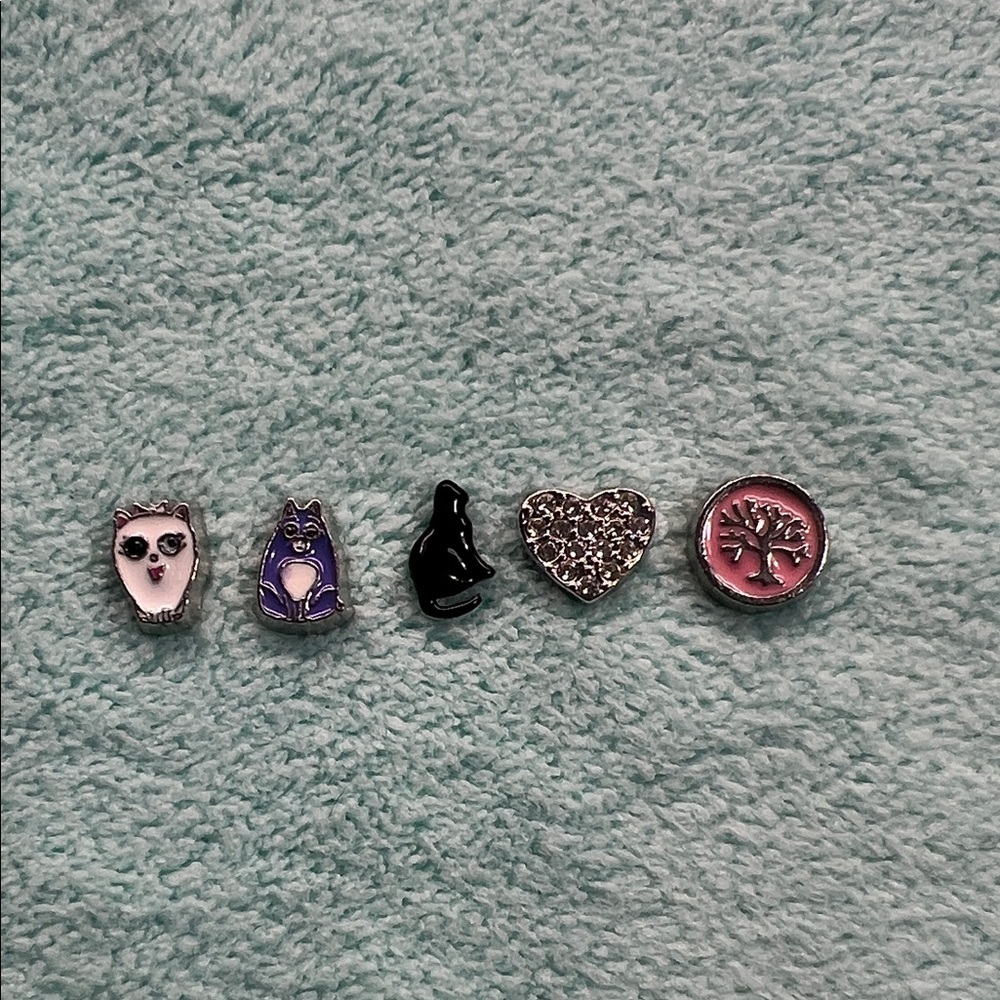 Floating Locket Charms